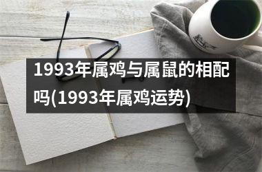 1993年属鸡与属鼠的相配吗(1993年属鸡运势)