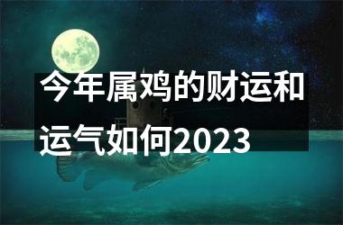 今年属鸡的财运和运气如何2023