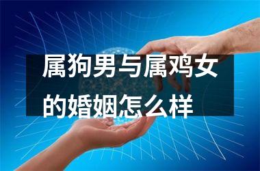 属狗男与属鸡女的婚姻怎么样
