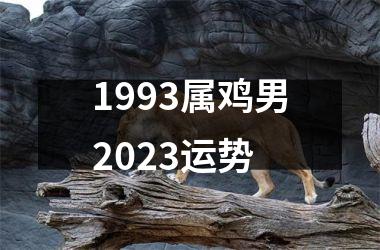 1993属鸡男2025运势