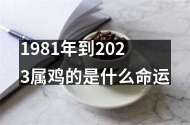 1981年到2025属鸡的是什么命运