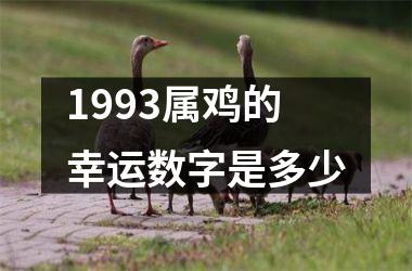1993属鸡的幸运数字是多少