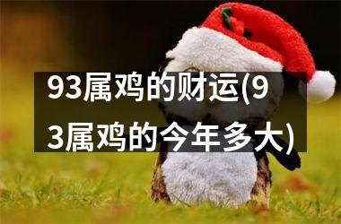 93属鸡的财运(93属鸡的今年多大)