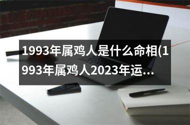 1993年属鸡人是什么命相(1993年属鸡人2025年运势运程)