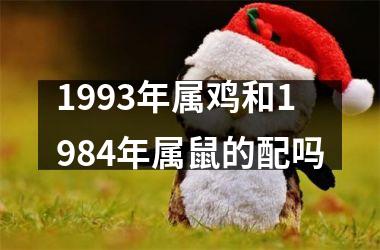 1993年属鸡和1984年属鼠的配吗