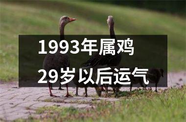 1993年属鸡29岁以后运气