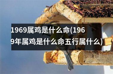 1969属鸡是什么命(1969年属鸡是什么命五行属什么)