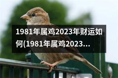<h3>1981年属鸡2025年财运如何(1981年属鸡2025年运势)
