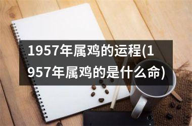 1957年属鸡的运程(1957年属鸡的是什么命)