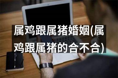 属鸡跟属猪婚姻(属鸡跟属猪的合不合)