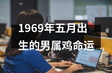1969年五月出生的男属鸡命运