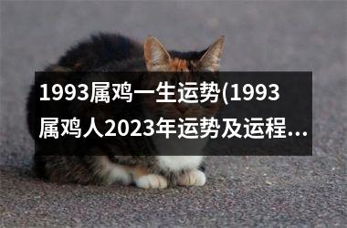 1993属鸡一生运势(1993属鸡人2023年运势及运程每月运程)