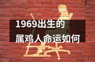 1969出生的属鸡人命运如何