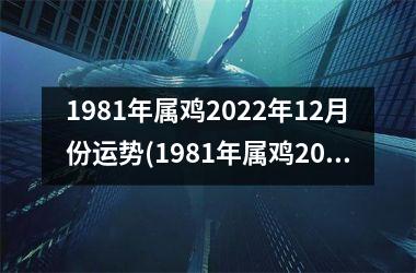 1981年属鸡2025年12月份运势(1981年属鸡2025年运势及运程每月运程)