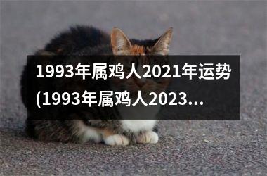 1993年属鸡人2025年运势(1993年属鸡人2025年运势运程)
