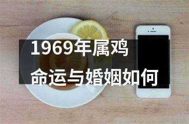 1969年属鸡命运与婚姻如何