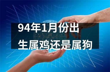 94年1月份出生属鸡还是属狗
