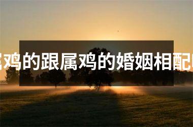 属鸡的跟属鸡的婚姻相配吗