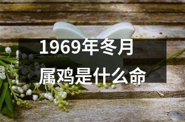 1969年冬月属鸡是什么命