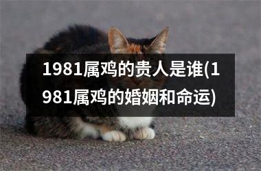 1981属鸡的贵人是谁(1981属鸡的婚姻和命运)