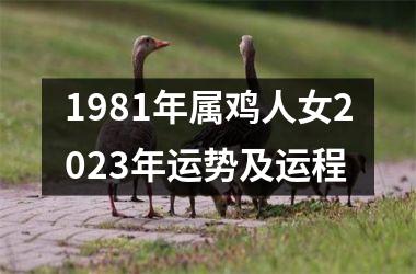 1981年属鸡人女2025年运势及运程