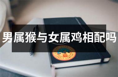 男属猴与女属鸡相配吗