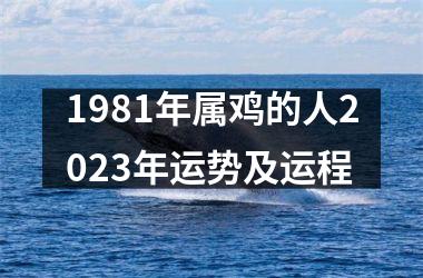 1981年属鸡的人2025年运势及运程
