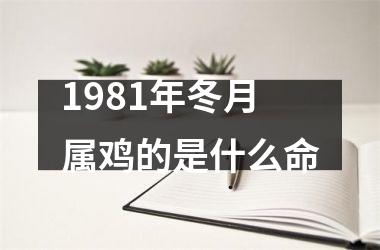 1981年冬月属鸡的是什么命