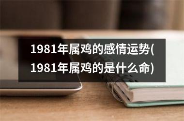 1981年属鸡的感情运势(1981年属鸡的是什么命)