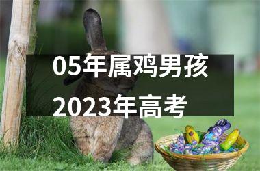 <h3>05年属鸡男孩2025年高考