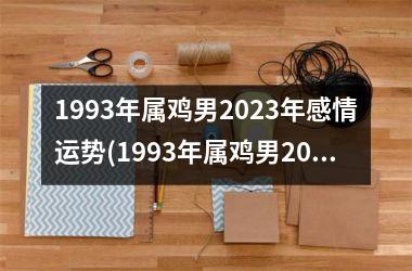 1993年属鸡男2023年感情运势(1993年属鸡男2023年贵人属相)