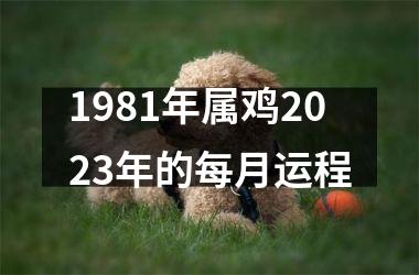 1981年属鸡2025年的每月运程