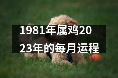 1981年属鸡2023年的每月运程