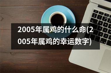 2005年属鸡的什么命(2005年属鸡的幸运数字)