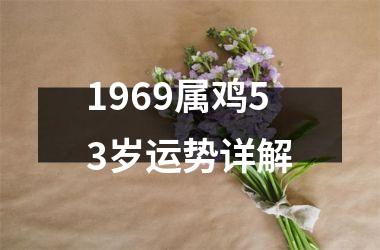 1969属鸡53岁运势详解