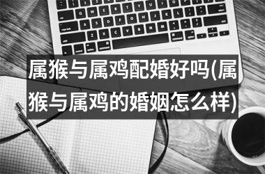 属猴与属鸡配婚好吗(属猴与属鸡的婚姻怎么样)