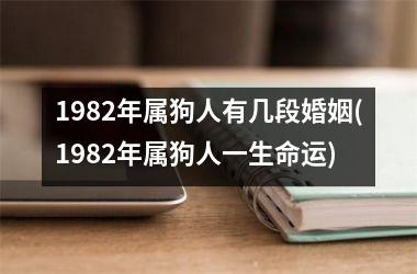 1982年属狗人有几段婚姻(1982年属狗人一生命运)