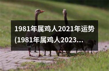1981年属鸡人2021年运势(1981年属鸡人2023年运势及运程每月运程)