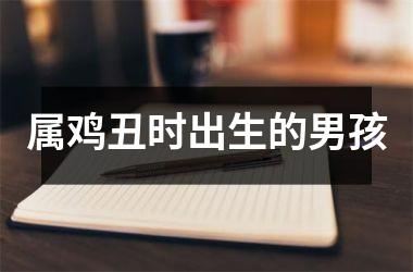 <h3>属鸡丑时出生的男孩