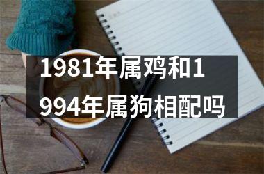 1981年属鸡和1994年属狗相配吗