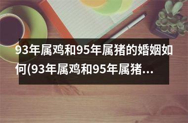 93年属鸡和95年属猪的婚姻如何(93年属鸡和95年属猪女)