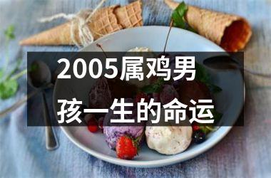 2005属鸡男孩一生的命运