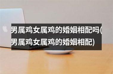 男属鸡女属鸡的婚姻相配吗(男属鸡女属鸡的婚姻相配)