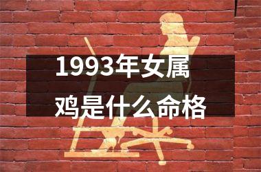 1993年女属鸡是什么命格