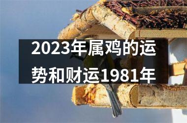 2023年属鸡的运势和财运1981年