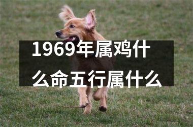 <h3>1969年属鸡什么命五行属什么