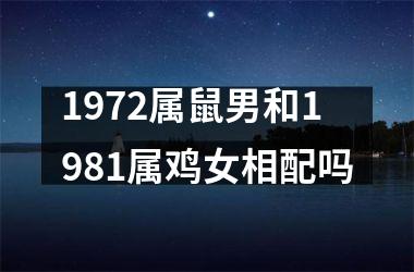 1972属鼠男和1981属鸡女相配吗