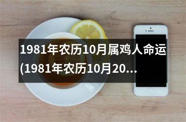 1981年农历10月属鸡人命运(1981年农历10月20日)