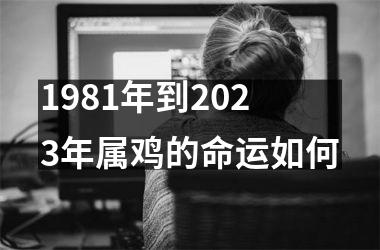 1981年到2025年属鸡的命运如何