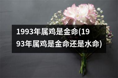 1993年属鸡是金命(1993年属鸡是金命还是水命)